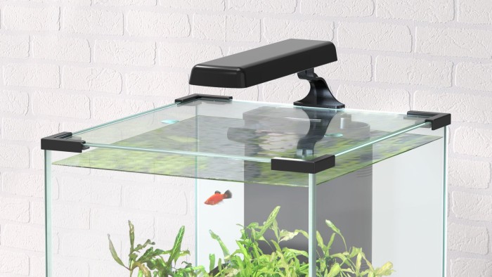 Aquatlantis Nano Cubic 30 Aquarium-Set ohne Unterschrank, White High Gloss, 26l