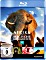 Afrika - Das magische Königreich (Blu-ray)