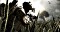 Call of Duty: Ghosts (PS3) Vorschaubild
