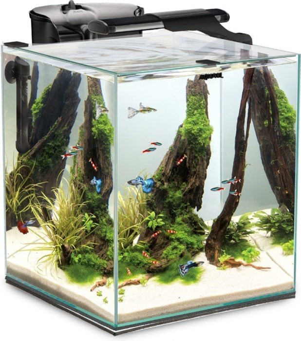 Aquael Fish & Shrimp Set Duo 35 Aquarium-Set ohne Unterschrank, schwarz, 49l