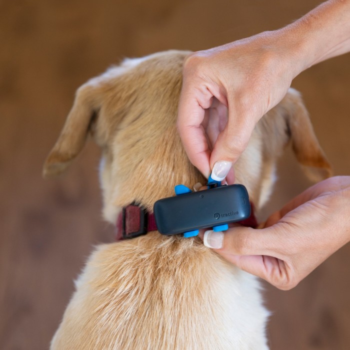 Tractive DOG 4, GPS Tracker für Hunde, mitternachtsblau ab € 34,99 (2024)