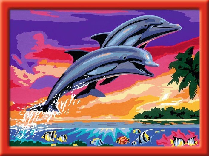 Delfininsel Delfine  Komplettset 30 cm x 39 cm Größe ca Malen nach Zahlen 