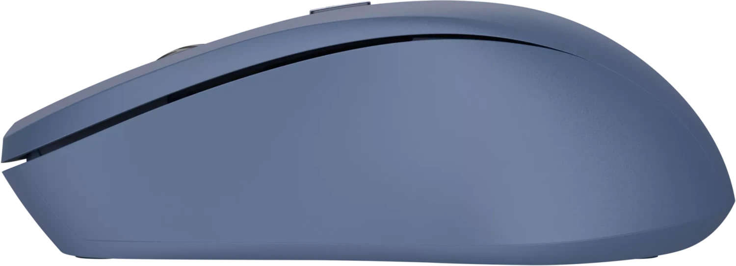 Trust Mydo Silent Wireless Mouse blau ab € 15,13 (2024