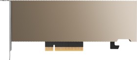 PNY NVIDIA A2 (Low Profile), 16GB GDDR6