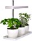 LED's light LED Mini-Garten T-Form Smart Indoor Pflanzkasten (402002)