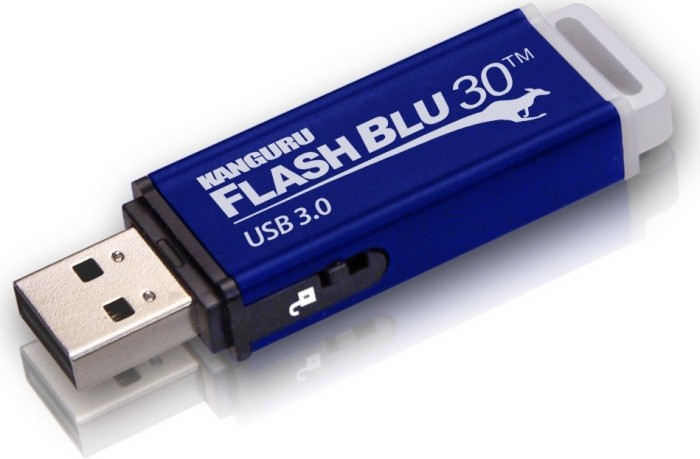 64GB Kanguru Flash Blu30