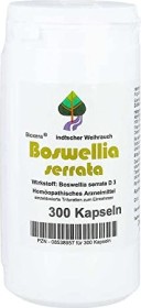 Diamant Natuur Boswellia serrata Bioxera Kapseln, 300 Stück