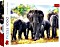 Trefl puzzle African Elephants (10442)
