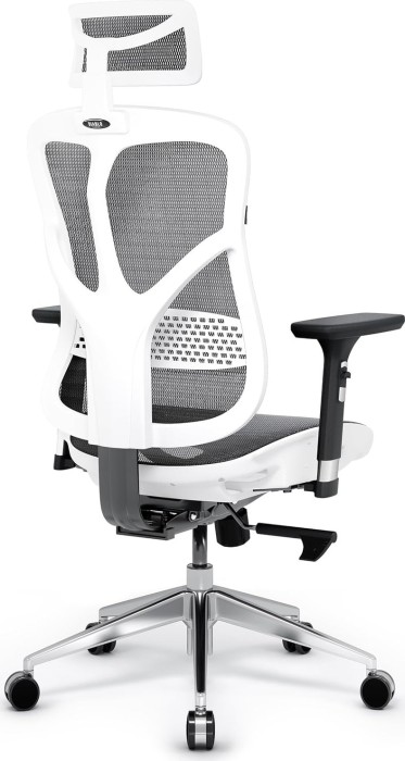 Diablo Chairs V-Basic Ergonomischer fotel biurowy, biały/szary