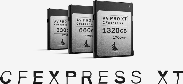 Angelbird AV PRO CFexpress XT R1700/W1500 CFexpress Type B 660GB, 2er-Pack