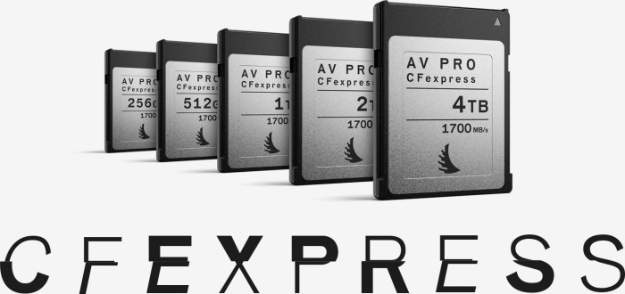 Angelbird AV PRO CFexpress R1700/W1500 CFexpress Type B 256GB