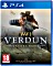 WW I: Verdun - Western przód (PS4)