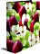 Herma Motiv-Ordner A4, Motiv Früchte Apfel (7109)