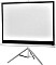 Celexon Stativleinwand Economy White Edition 244x138cm (1090276)