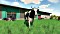 Landwirtschafts-Simulator 22 (PS5) Vorschaubild