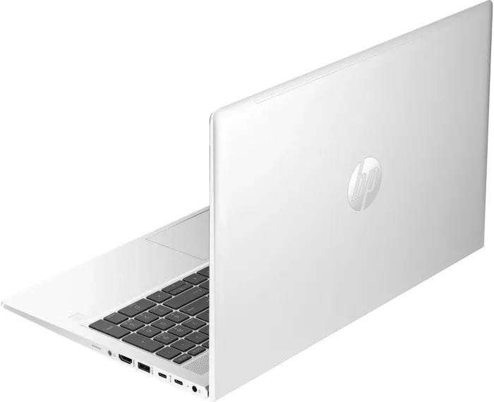 HP ProBook 450 G10, Pike Silver, Core i7-1355U, 32GB RAM, 1TB SSD, DE