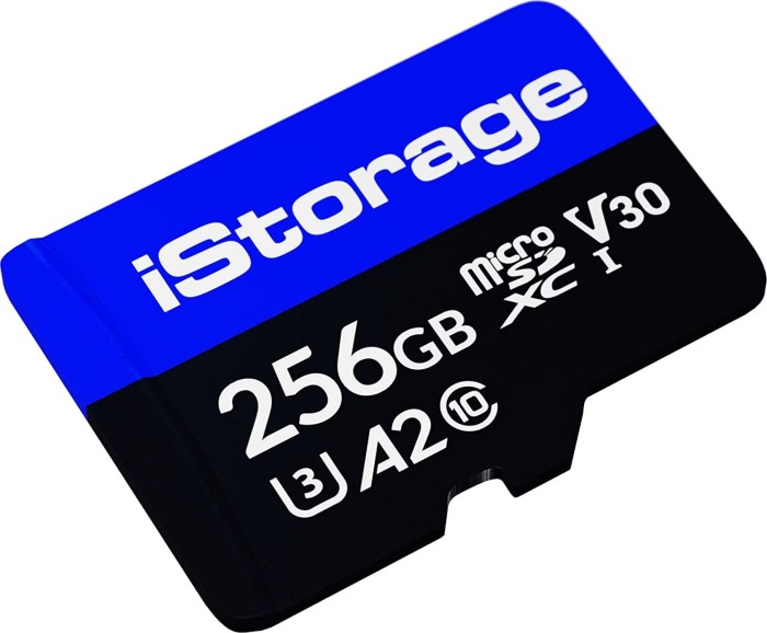 iPamięć masowa microSDXC 256GB, UHS-I U3, A2, Class 10