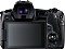 Canon EOS R mit Objektivadapter EF-EOS R Vorschaubild
