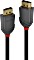 Lindy Anthra Line DisplayPort 1.2 Kabel schwarz, 5m (36484)