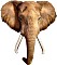 Madd Capp I na Elephant 700 (883007)