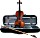 Stentor Graduate Violine 4/4 (SR1542A)