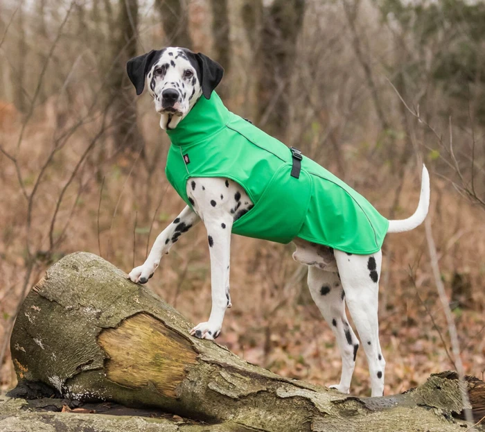 VIZPET Hunde Regenmantel Wasserfest – Grün Mit Reflektorstreifen, Größe M