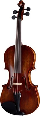 Stentor Arcadia Violine