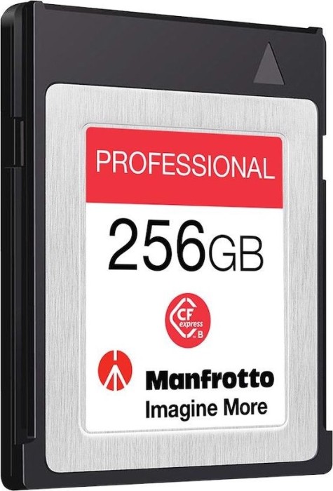 Delkin Manfrotto Professional R1730/W1540 CFexpress Type B 256GB
