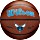 Wilson NBA Team Alliance Basketball Charlotte Hornets (WTB3100XBCHA)