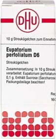 DHU Eupatorium perfoliatum Globuli D6, 10g