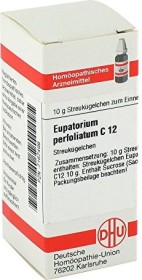 DHU Eupatorium perfoliatum Globuli C12, 10g