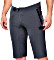 100% Celium cycling shorts short grey (men) (42205-007)
