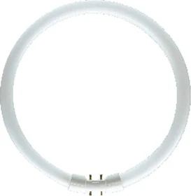 Lampada Fluorescente Circolare Osram Lumilux T5 FC 2Gx13 22W/865 | Luce Bianca Fredda, Per Alimentatori Elettronici