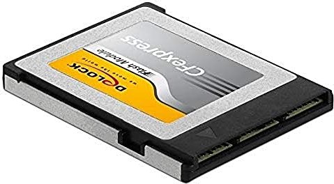 DeLOCK Flash Modul R1550/W900 CFexpress Type B 256GB