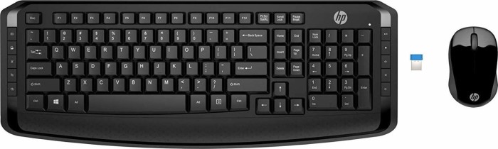 HP Wireless Keyboard und Maus 300, schwarz, USB, DE
