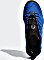 adidas Terrex Swift R2 GTX blue beauty/bright blue (męskie) Vorschaubild