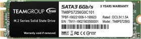 TeamGroup MS30 SSD TM8PS7 256GB, M.2