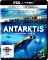 Antarktyczny - Leben na Limit (4K Ultra HD)