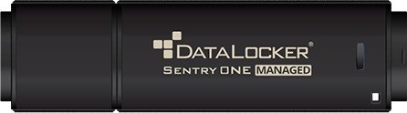DataLocker Sentry ONE Managed