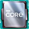 Intel Core i5-11600, 6C/12T, 2.80-4.80GHz, tray (CM8070804491513)