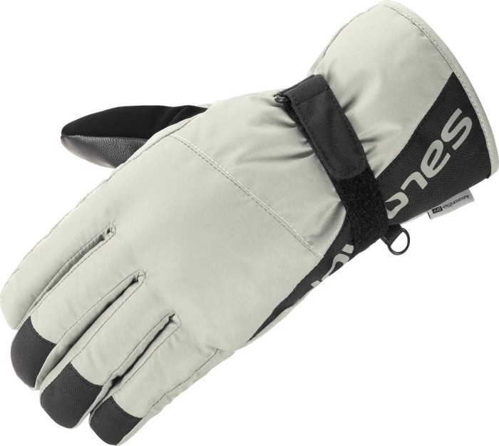Lyrisch specificeren Leuk vinden Salomon Force Dry Gloves wrought iron/black (men) (C16343) | Price  Comparison Skinflint UK
