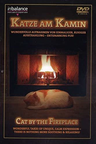 Ambiente: Katze am Kamin (DVD)