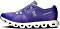 On Cloud 5 blueberry/feather (ladies) (59.98021)
