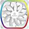 Enermax SquA RGB White, weiß, 120mm (UCSQARGB12P-W-SG)