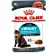 Royal Canin Urinary Care, in Soße 1.02kg (12x 85g)