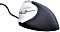 BakkerElkhuizen HandShake Mouse, pionowa mysz prawa czarny/srebrny, USB (BNESRMR)