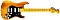 Fender American Professional II Stratocaster HSS MN Roasted Pine (0113912763)