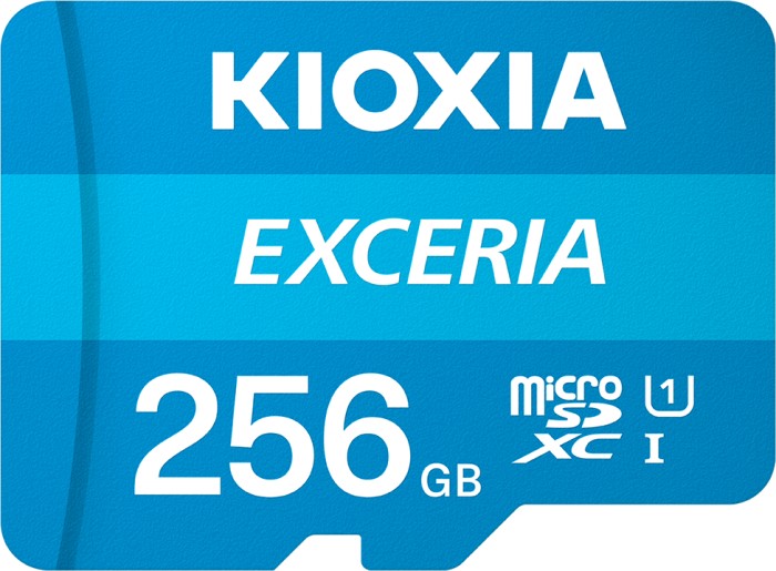 KIOXIA EXCERIA R100 microSDXC 256GB, UHS-I U1, Class 10