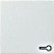 Gira Wippe mit Symbol, reinweiß glänzend (0287 03)