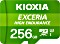 KIOXIA EXCERIA HIGH ENDURANCE R100/W85 microSDXC 256GB Kit, UHS-I U3, A1, Class 10 (LMHE1G256GG2)
